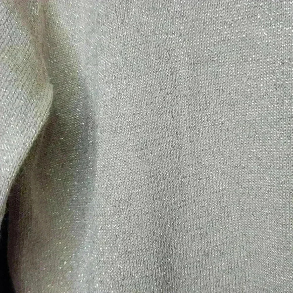 NWT Lauren Michelle sequins long sleeve blouse with tensil tread woven in. - Picture 4 of 7